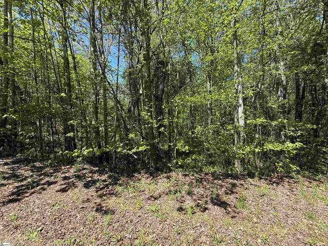 $22,565 | 125 Breckenridge Drive, Six Mile, SC 29682