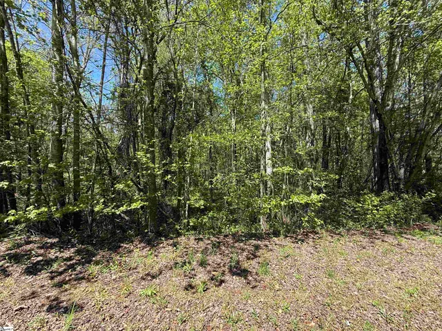 $22,565 | 125 Breckenridge Drive, Six Mile, SC 29682