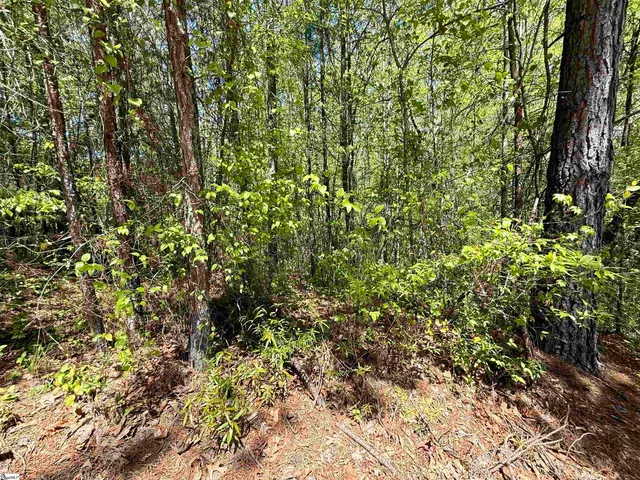 $22,565 | 125 Breckenridge Drive, Six Mile, SC 29682