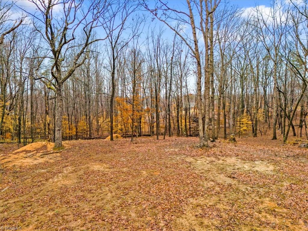 895 Boyd Road Reidsville, NC 27320 - Photo 13 of 15 Gallery Image 13