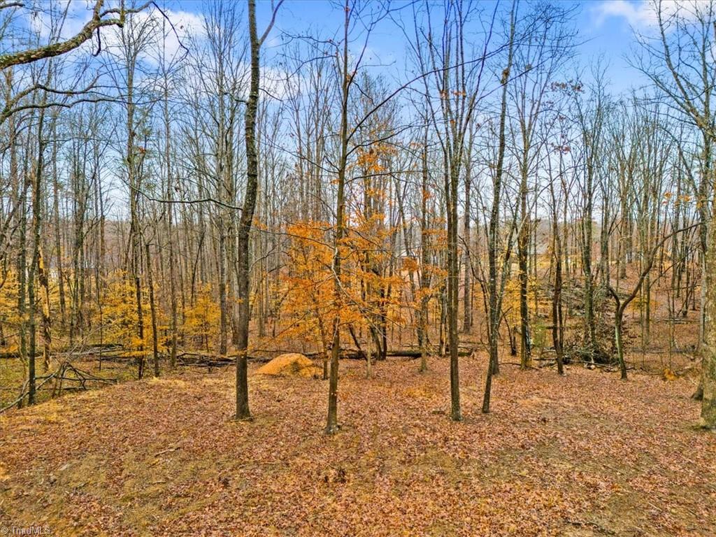 895 Boyd Road Reidsville, NC 27320 - Photo 14 of 15 Gallery Image 14