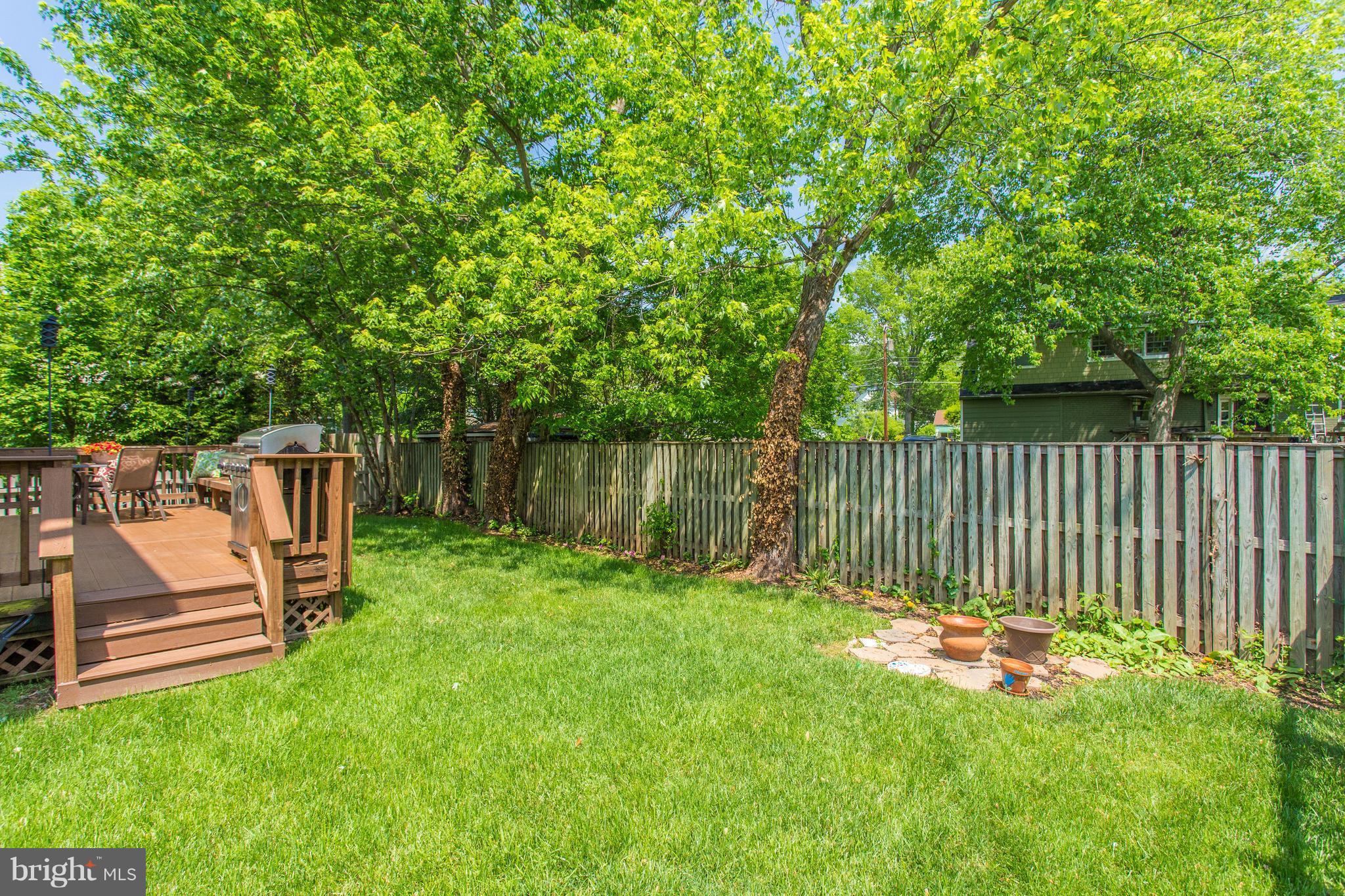 8037 Washington Road Alexandria, VA 22308 - Photo 28 of 30 Gorgeous afternoon sunlight