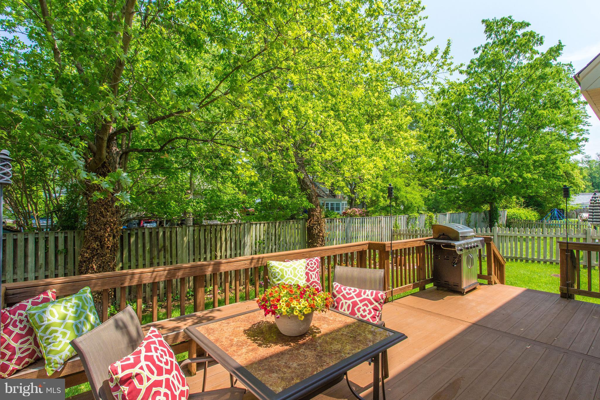 8037 Washington Road Alexandria, VA 22308 - Photo 7 of 30 Rear deck and fully fenced yard w manicured lawn