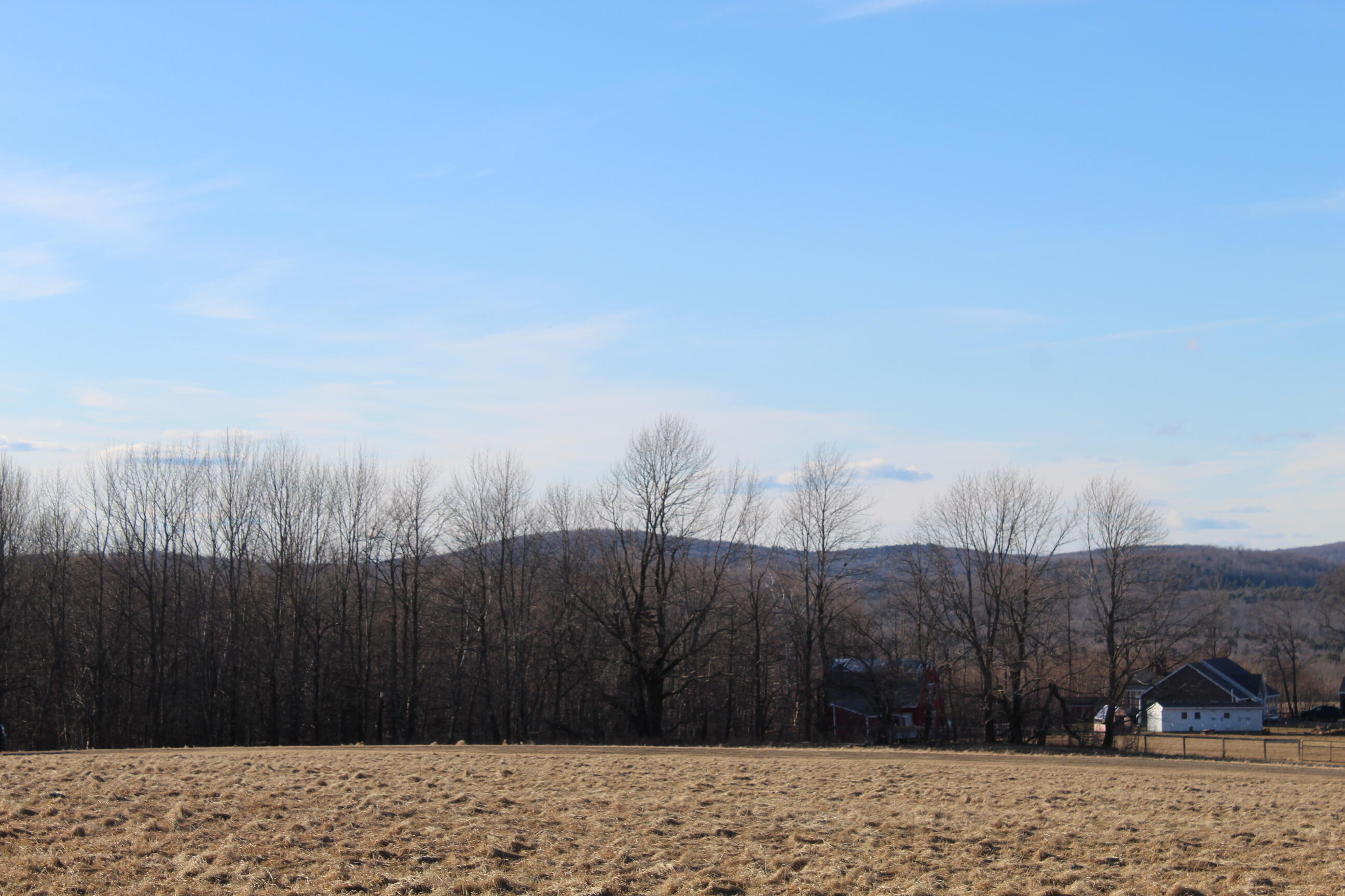 Lot 5 Jackson Ridge Road Jackson, ME 04921 - Photo 5 of 10 IMG_1375
