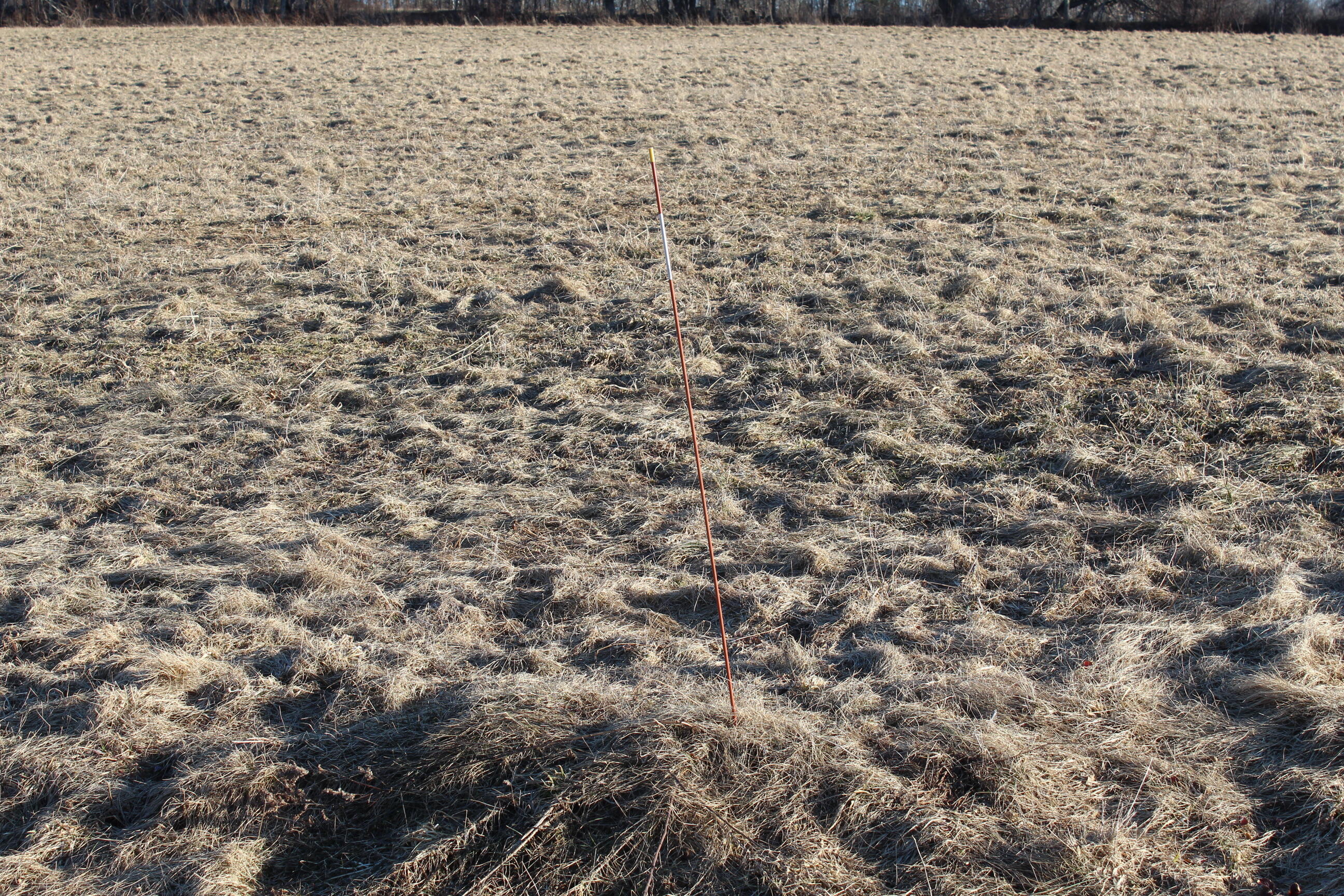 Lot 5 Jackson Ridge Road Jackson, ME 04921 - Photo 8 of 10 IMG_1381