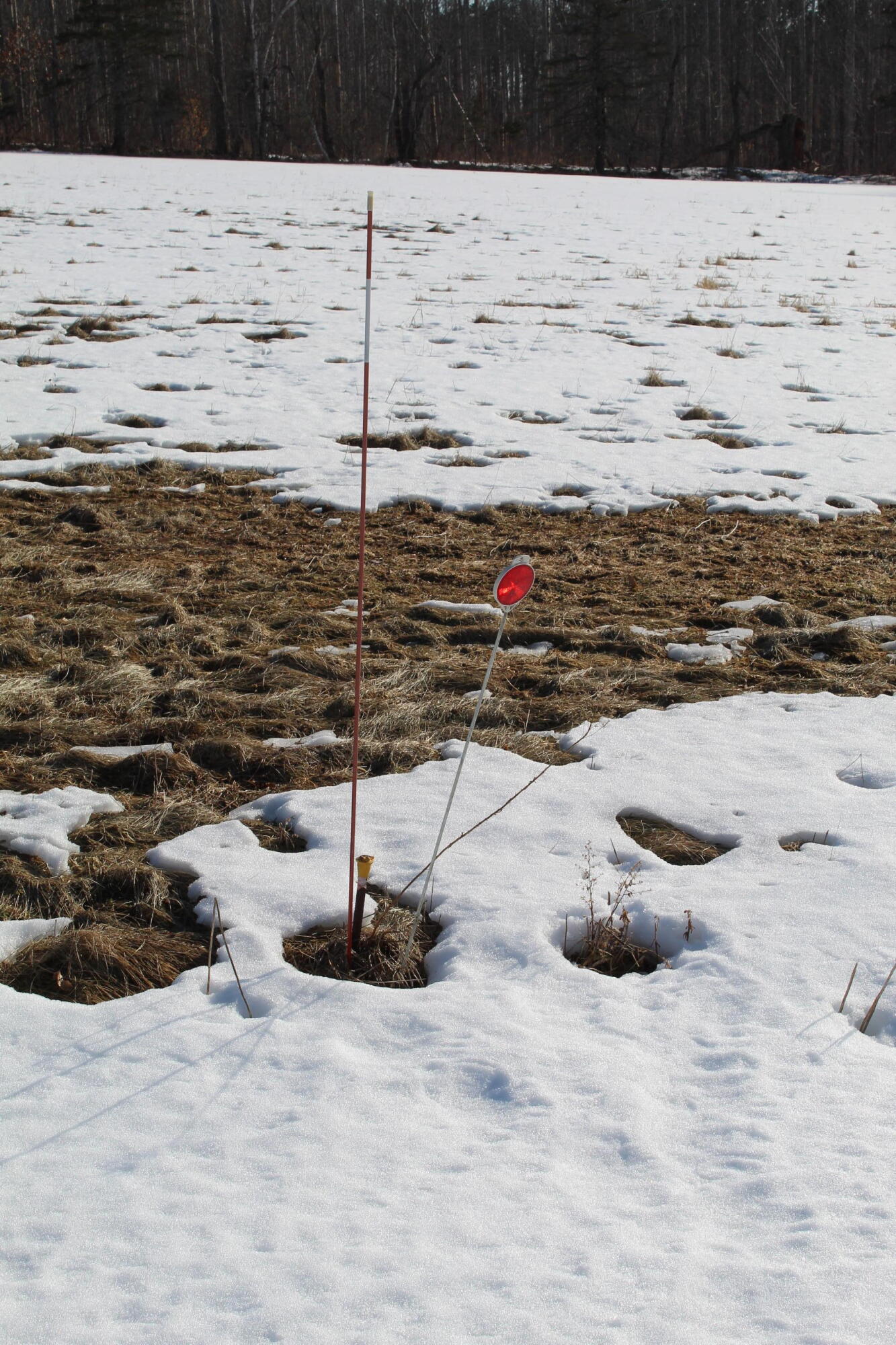 Lot 5 Jackson Ridge Road Jackson, ME 04921 - Photo 10 of 10 Survey pin