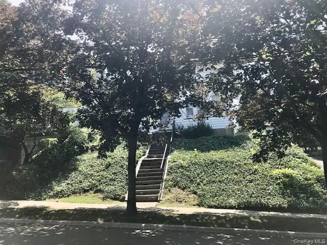 a view of a tree with a tree