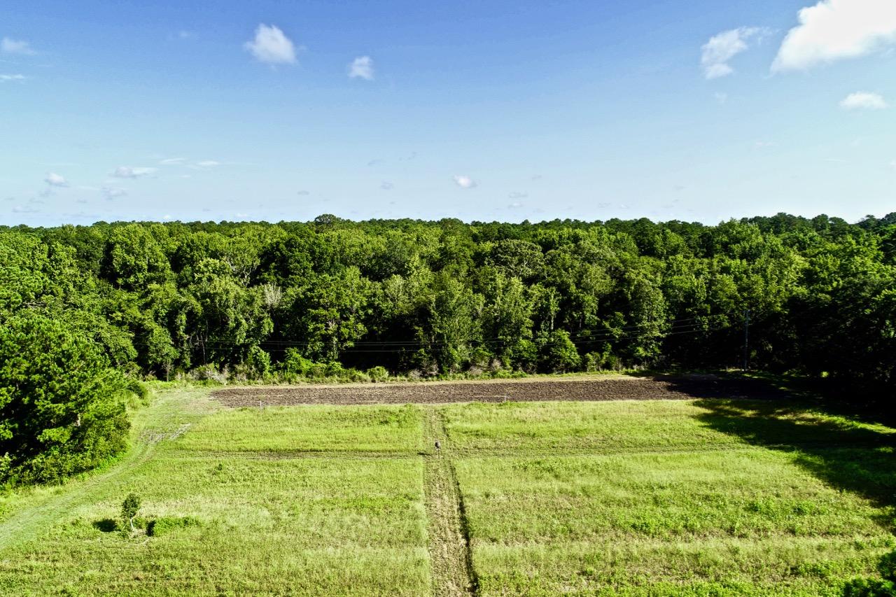5830 Chisolm Road Johns Island, SC 29455 - Photo 11 of 20 DJI_0057
