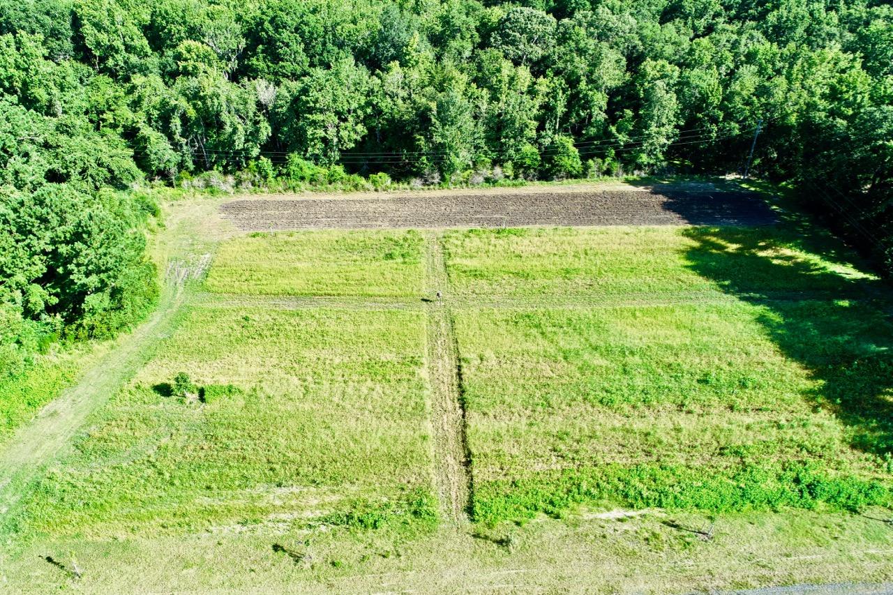 5830 Chisolm Road Johns Island, SC 29455 - Photo 12 of 20 DJI_0058