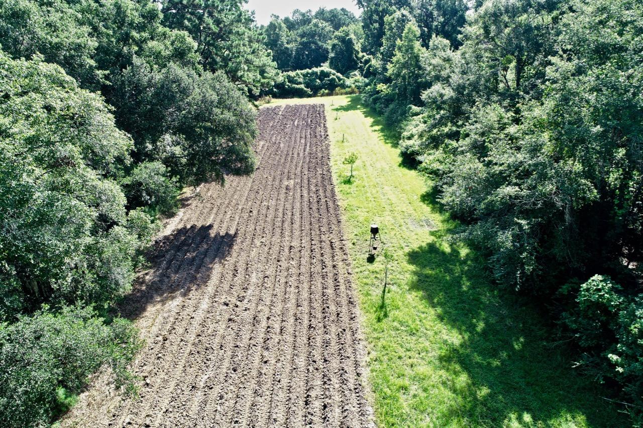 5830 Chisolm Road Johns Island, SC 29455 - Photo 16 of 20 DJI_0089