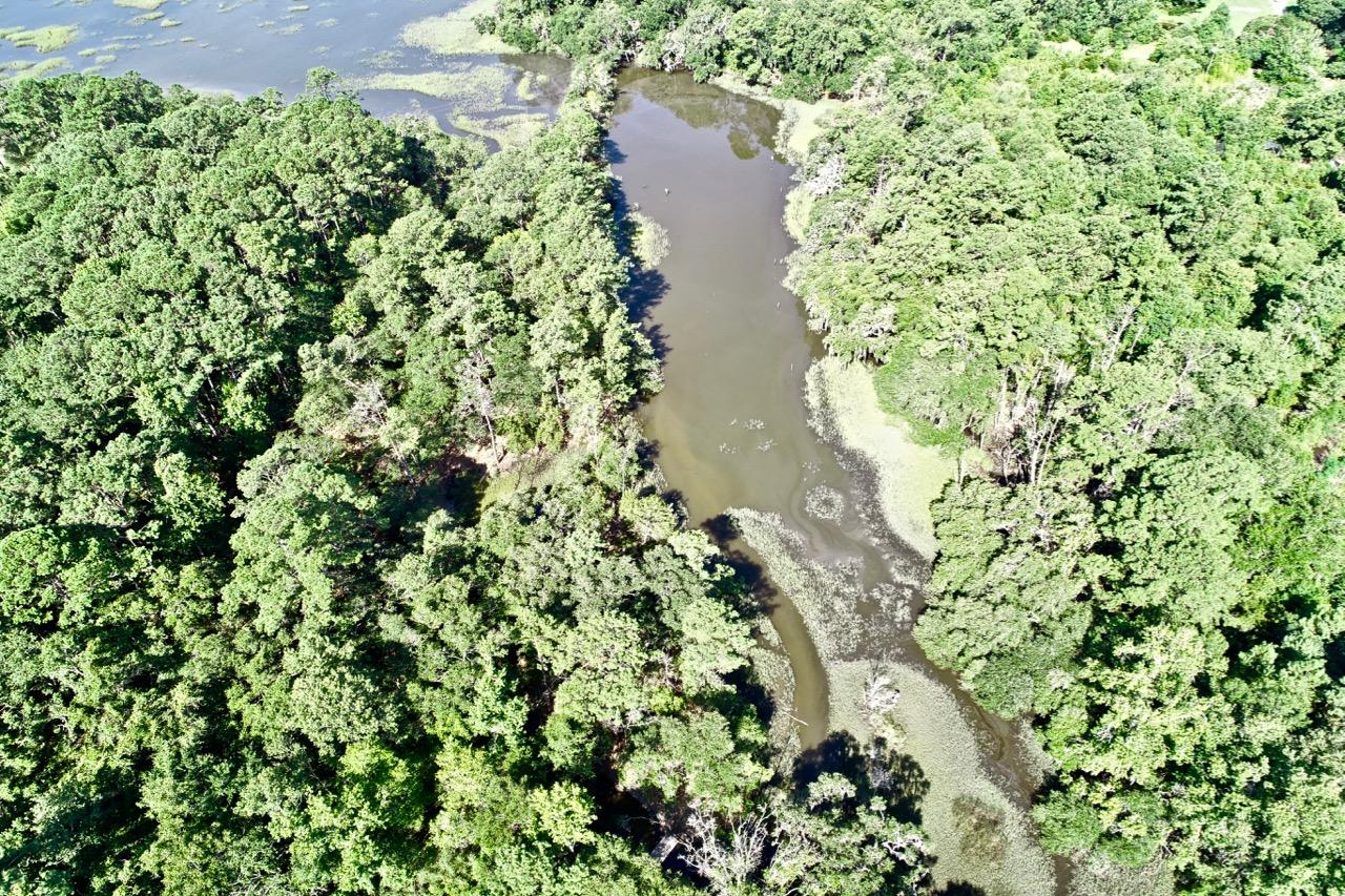 5830 Chisolm Road Johns Island, SC 29455 - Photo 17 of 20 DJI_0093