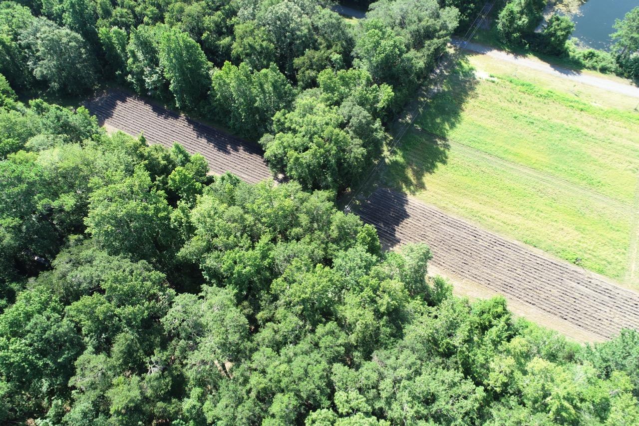 5830 Chisolm Road Johns Island, SC 29455 - Photo 19 of 20 DJI_0117