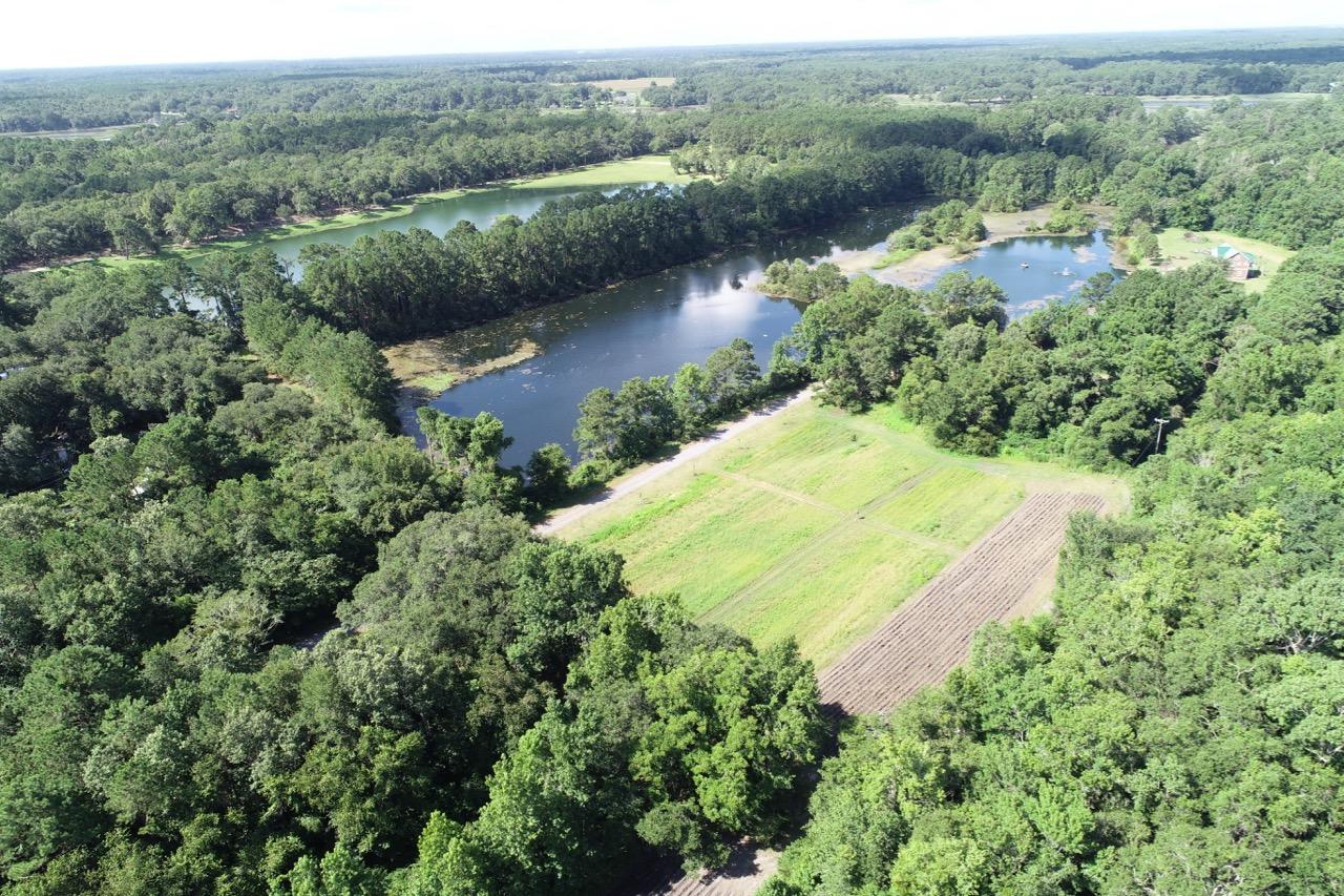 5830 Chisolm Road Johns Island, SC 29455 - Photo 20 of 20 DJI_0122