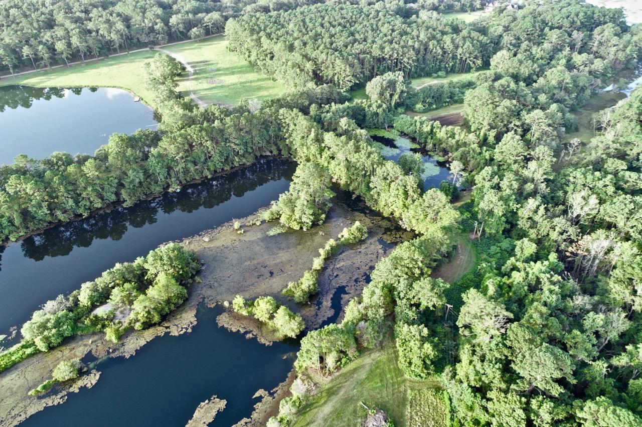 5830 Chisolm Road Johns Island, SC 29455 - Photo 3 of 20 DJI_0109