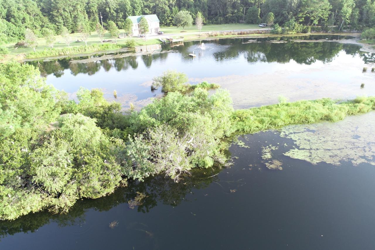 5830 Chisolm Road Johns Island, SC 29455 - Photo 5 of 20 DJI_0124