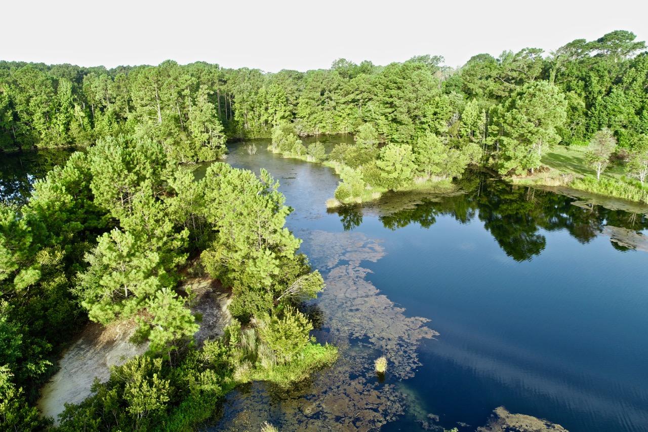 5830 Chisolm Road Johns Island, SC 29455 - Photo 6 of 20 DJI_0126