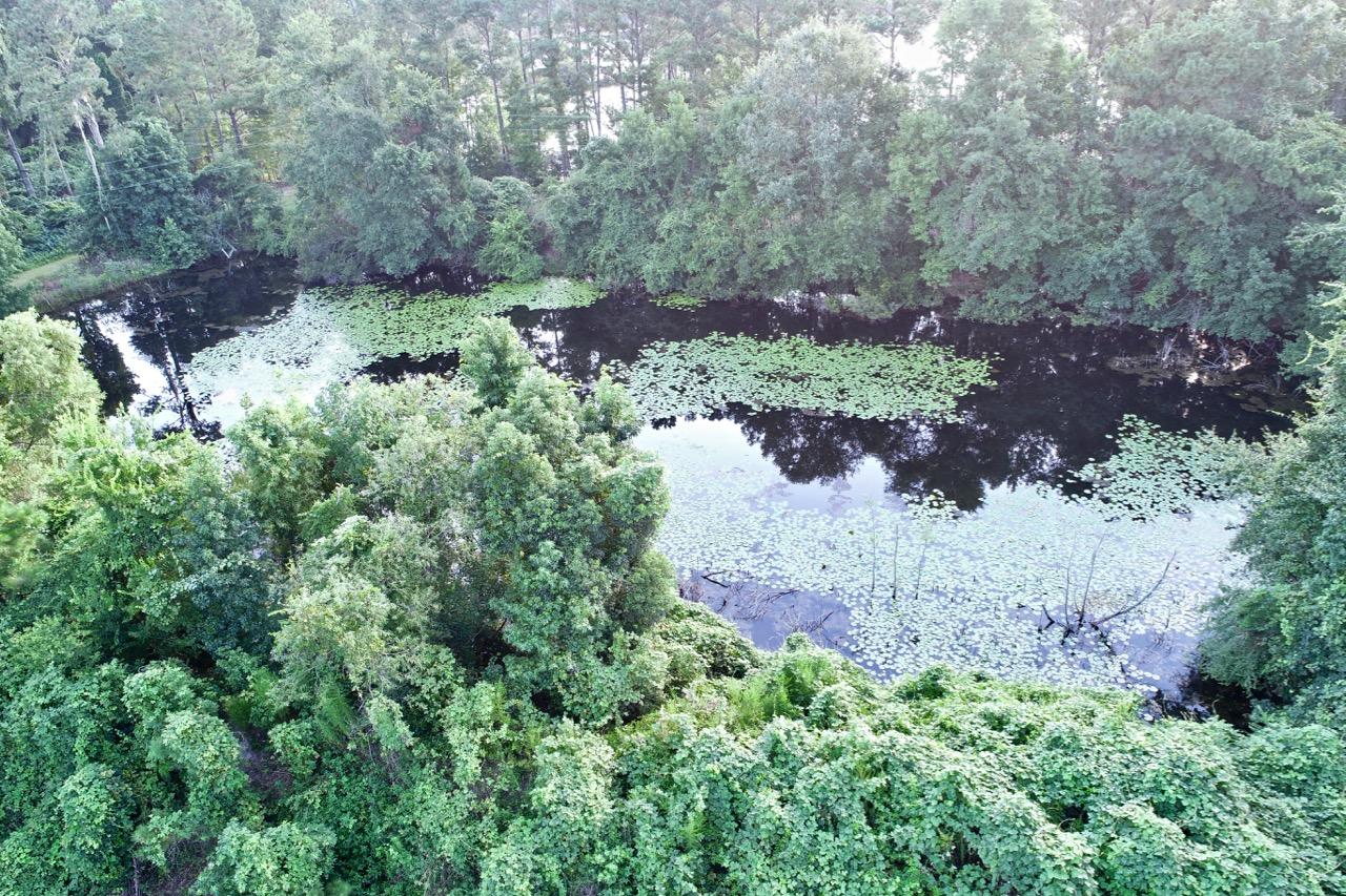 5830 Chisolm Road Johns Island, SC 29455 - Photo 9 of 20 DJI_0133