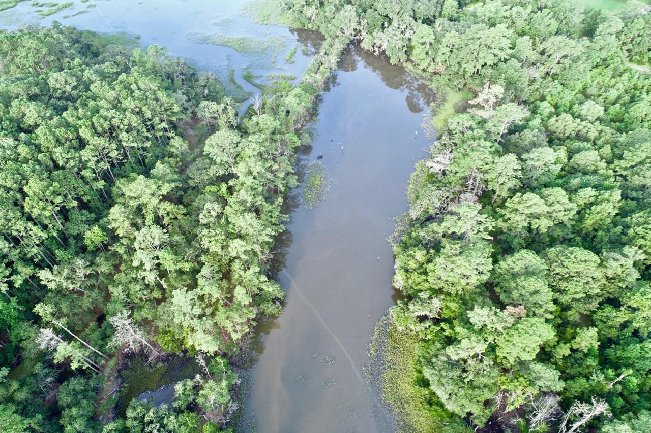 5830 Chisolm Road Johns Island, SC 29455 - Photo 10 of 20 DJI_0143
