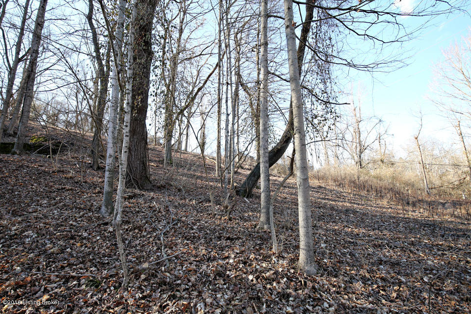 74 Westwind Road Louisville, KY 40207 - Photo 9 of 20 View looking from road