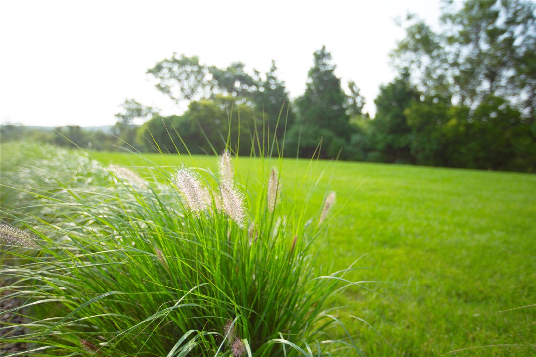 1062 Dunn Town Road Block Island, RI 02807 - Photo 13 of 46 Gallery Image 13