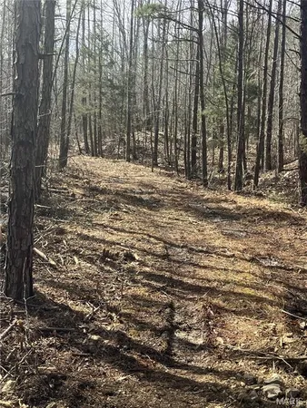 $66,060 | 203 Madison Cr, Fredericktown, MO 63645