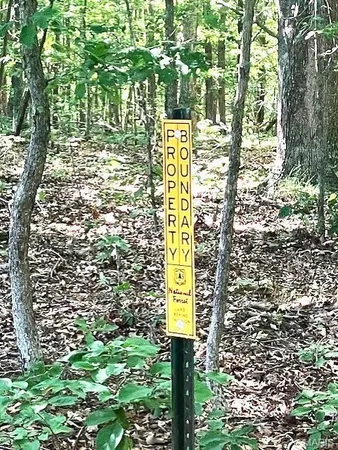 $66,060 | 203 Madison Cr, Fredericktown, MO 63645