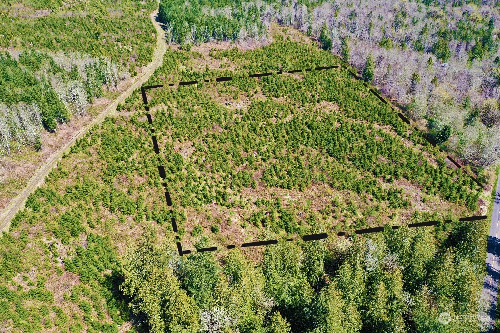 67 X Snow Creek Road Quilcene, WA 98376 - Photo 1 of 12 Gallery Image 1