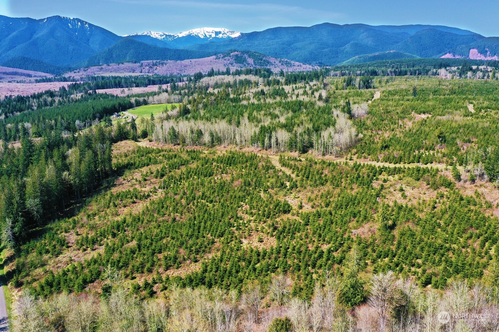 67 X Snow Creek Road Quilcene, WA 98376 - Photo 2 of 12 Gallery Image 2