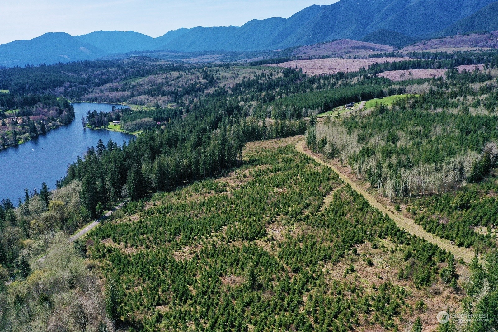 67 X Snow Creek Road Quilcene, WA 98376 - Photo 3 of 12 Gallery Image 3