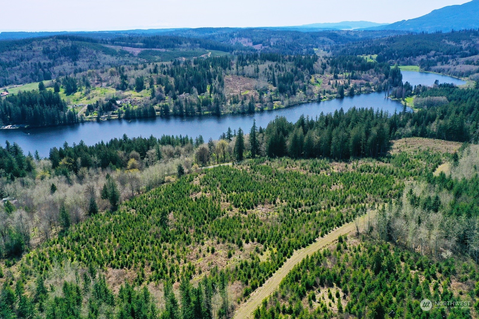 67 X Snow Creek Road Quilcene, WA 98376 - Photo 6 of 12 Gallery Image 6