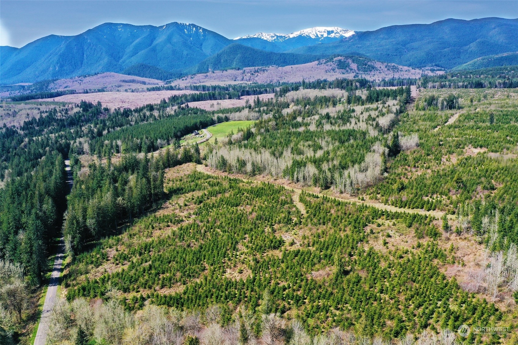 67 X Snow Creek Road Quilcene, WA 98376 - Photo 7 of 12 Gallery Image 7