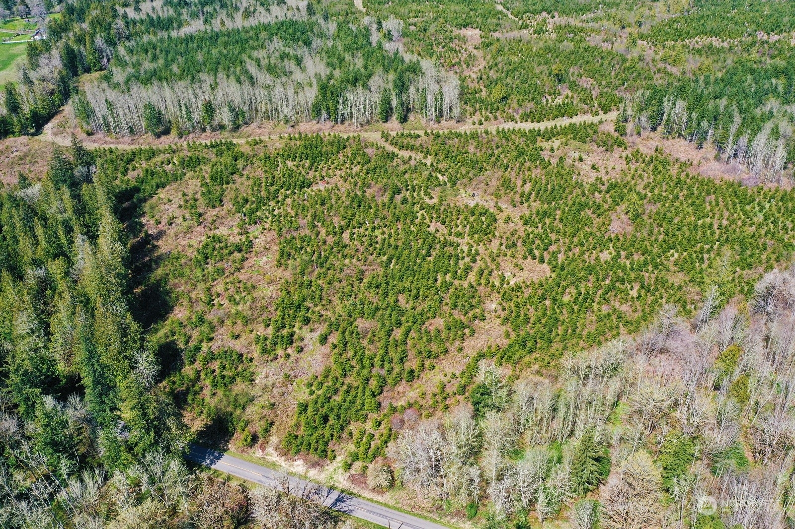 67 X Snow Creek Road Quilcene, WA 98376 - Photo 8 of 12 Gallery Image 8