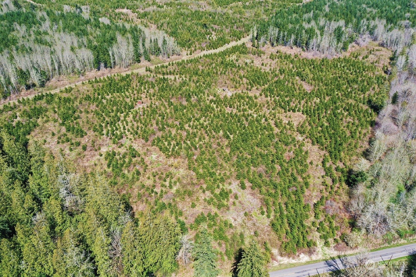 67 X Snow Creek Road Quilcene, WA 98376 - Photo 9 of 12 Gallery Image 9