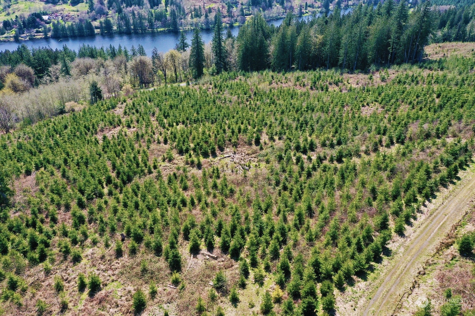 67 X Snow Creek Road Quilcene, WA 98376 - Photo 10 of 12 Gallery Image 10