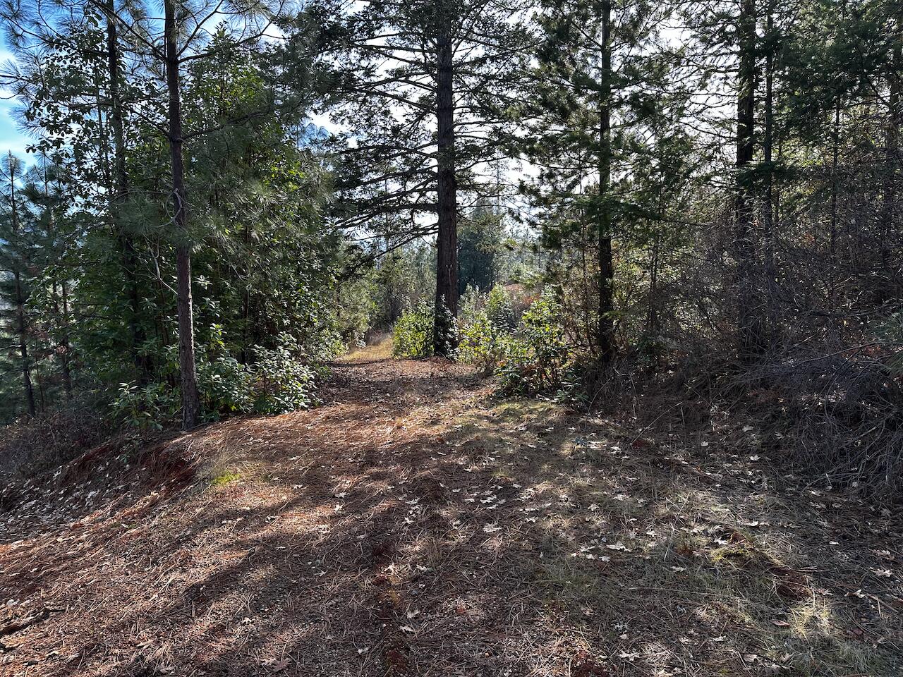 Lower entrance to the property.