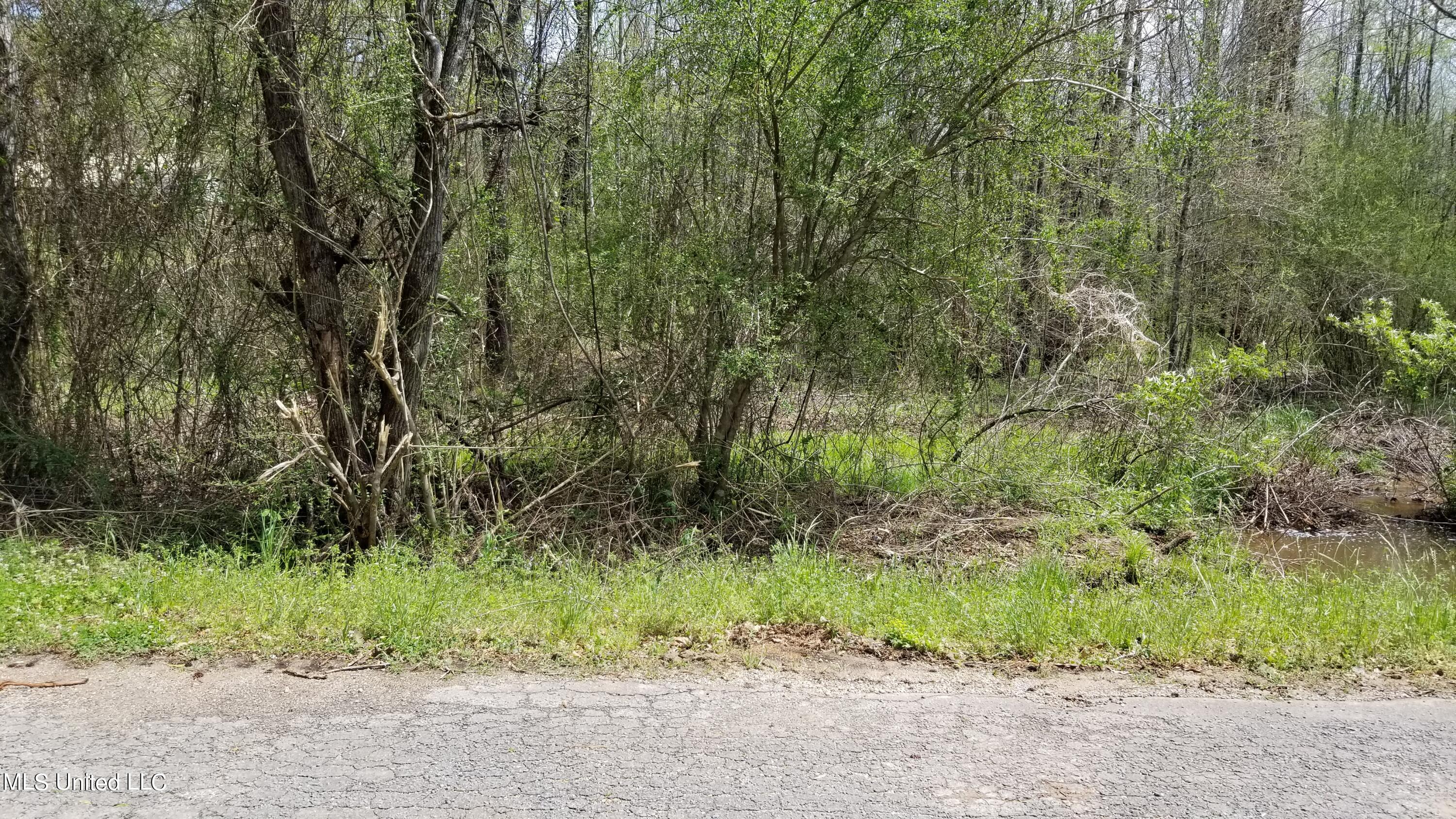 1108 Joe Dear Road Florence, MS 39073 - Photo 2 of 4 20220405_125232
