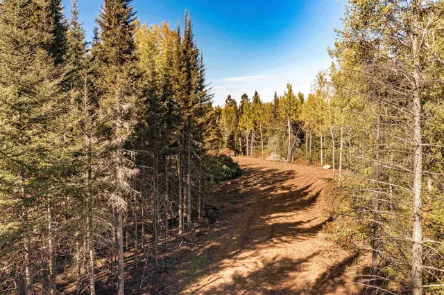 $21,000 | Tbd Tbd American Boulevard, Finland, MN 55603