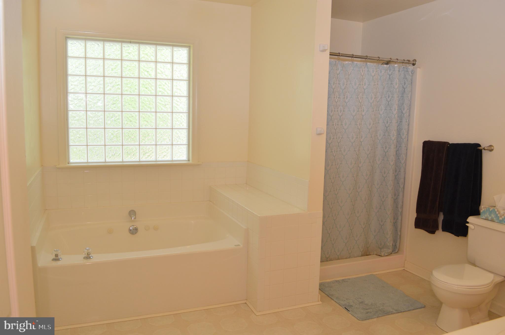 26610 Quantico Creek Road Hebron, MD 21830 - Photo 32 of 56 MASTER BATHROOM
