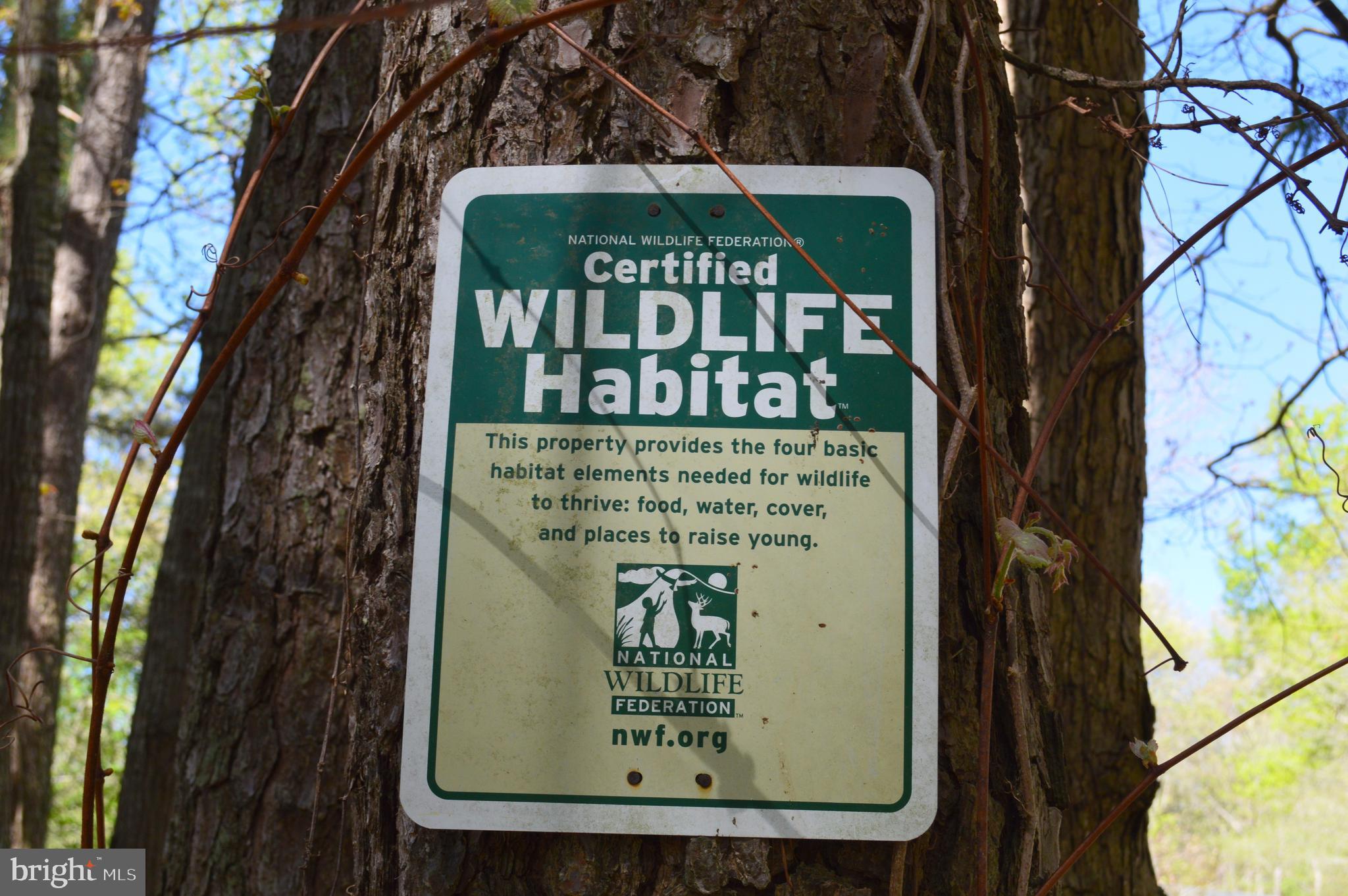 26610 Quantico Creek Road Hebron, MD 21830 - Photo 46 of 56 CERTIFIED WILDLIFE HABITAT