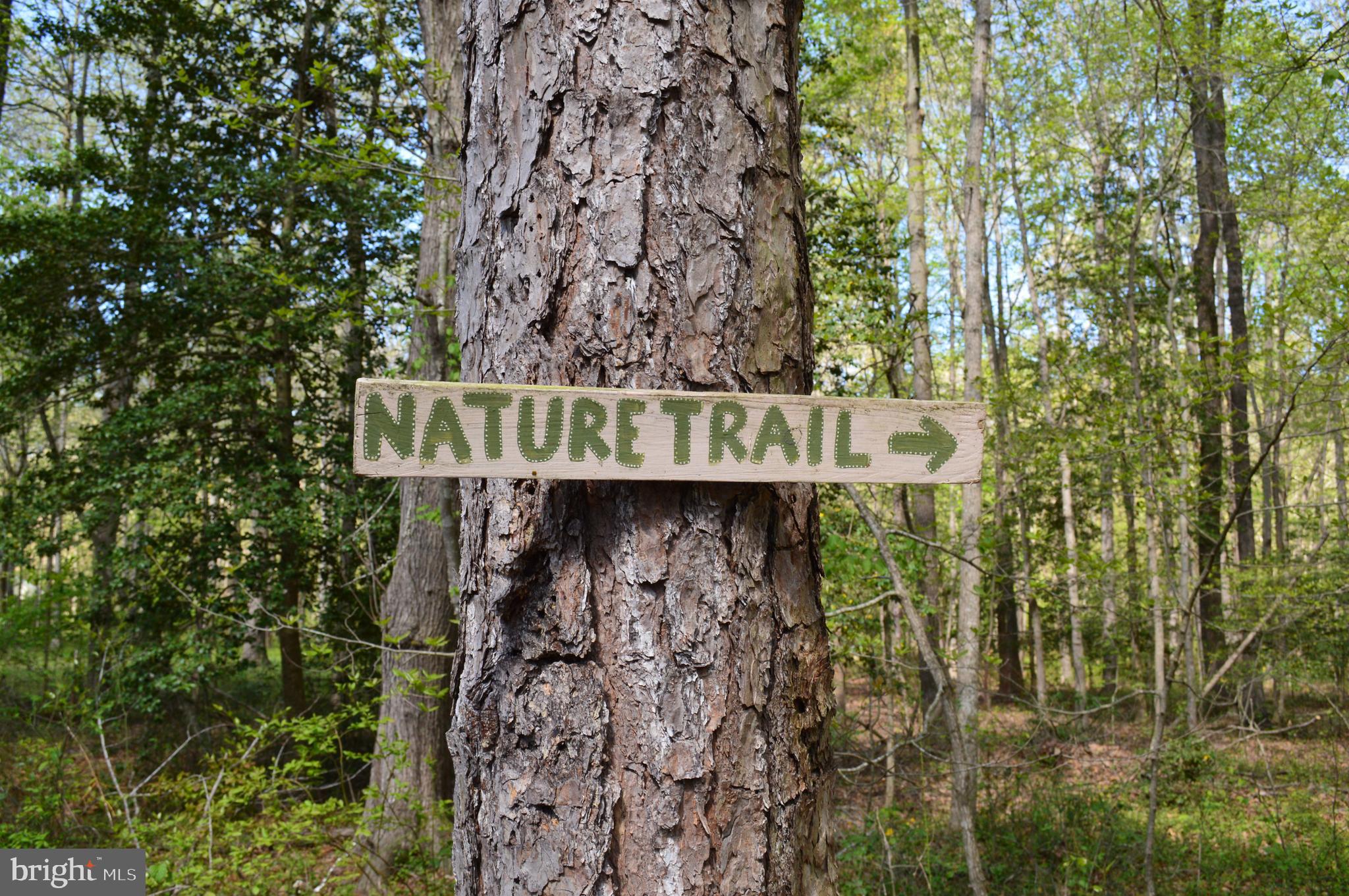 26610 Quantico Creek Road Hebron, MD 21830 - Photo 47 of 56 NATURE TRAIL