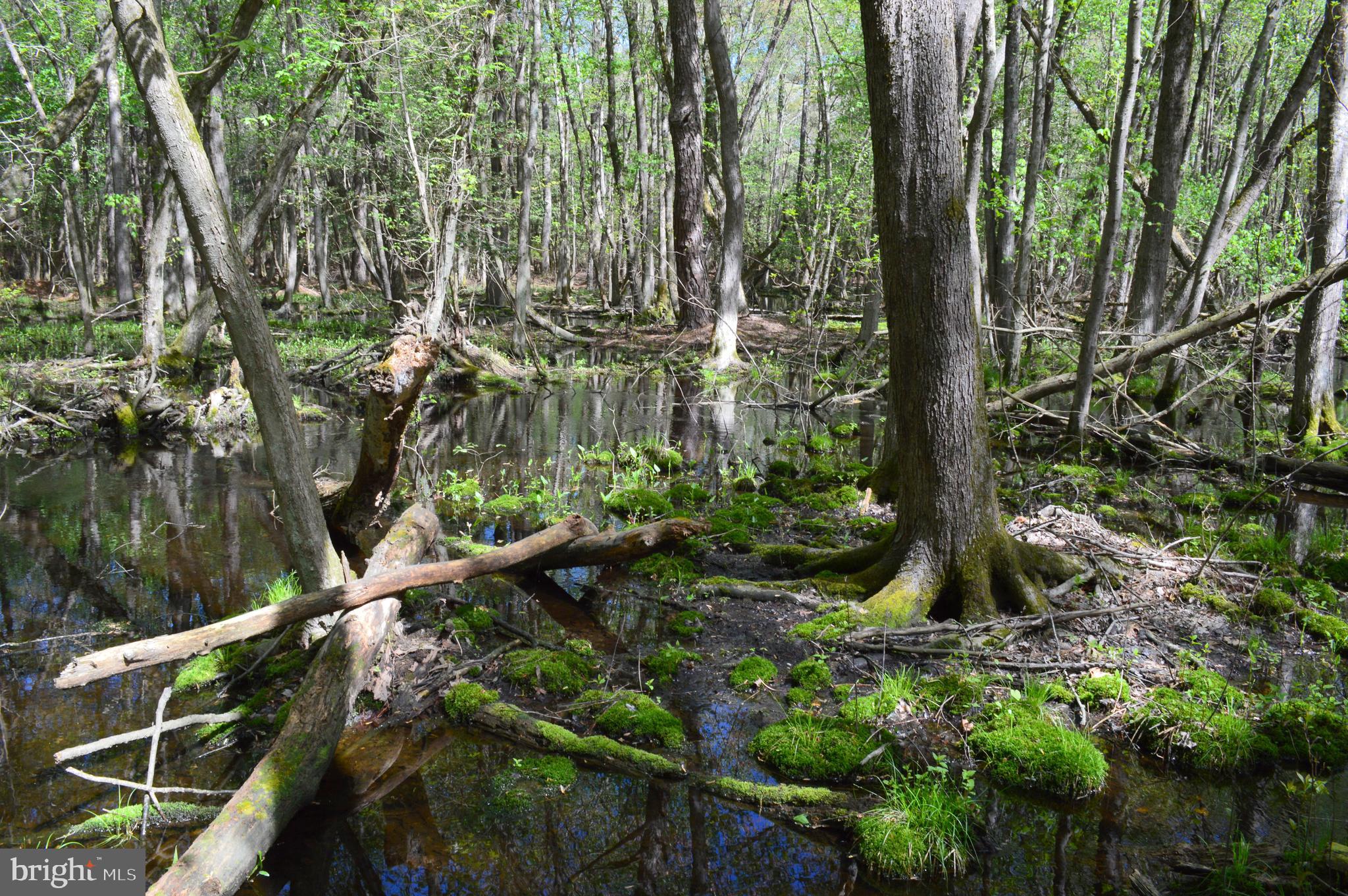 26610 Quantico Creek Road Hebron, MD 21830 - Photo 51 of 56 QUANTICO CREEK