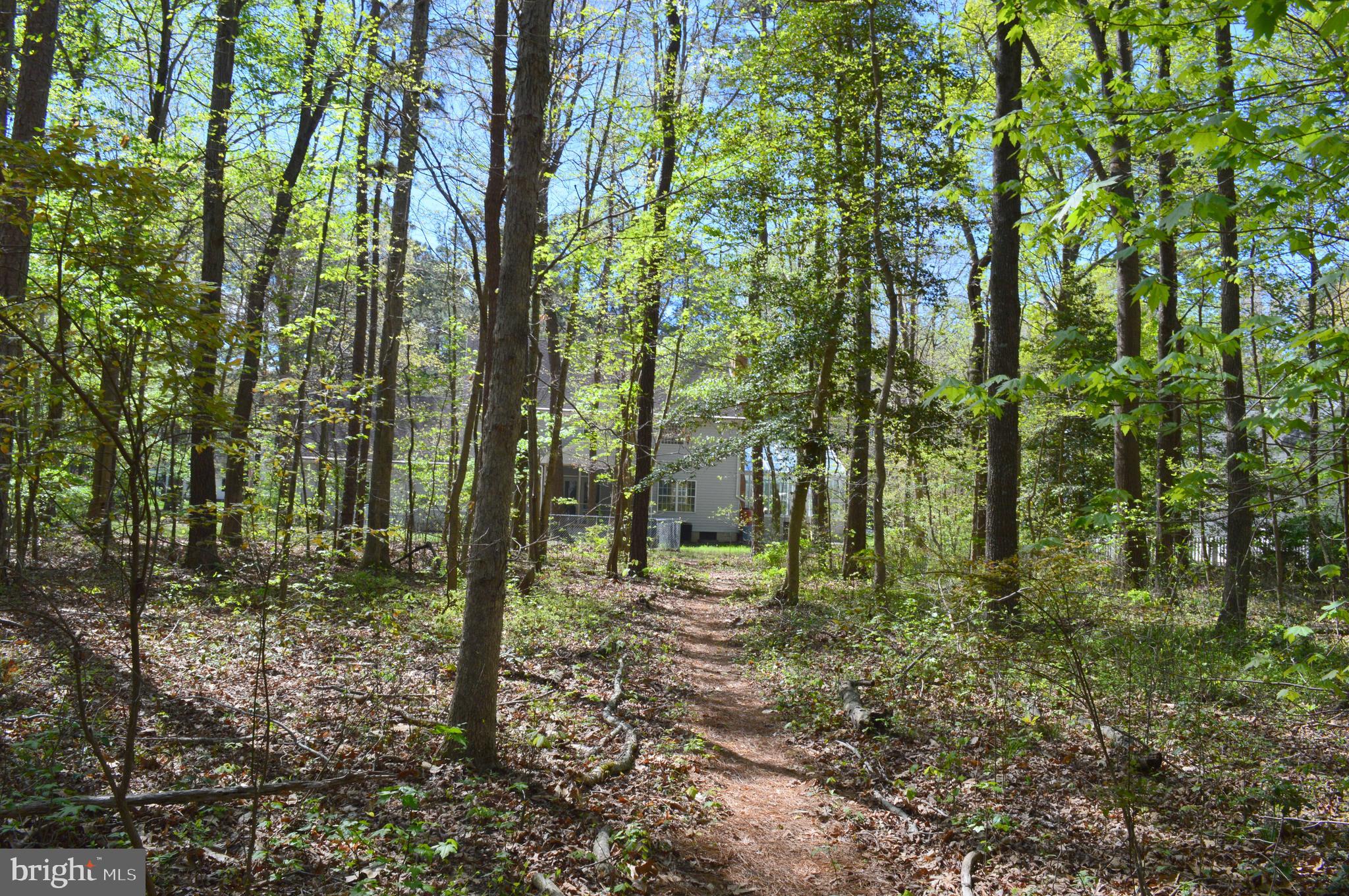 26610 Quantico Creek Road Hebron, MD 21830 - Photo 54 of 56 NATURE TRAIL