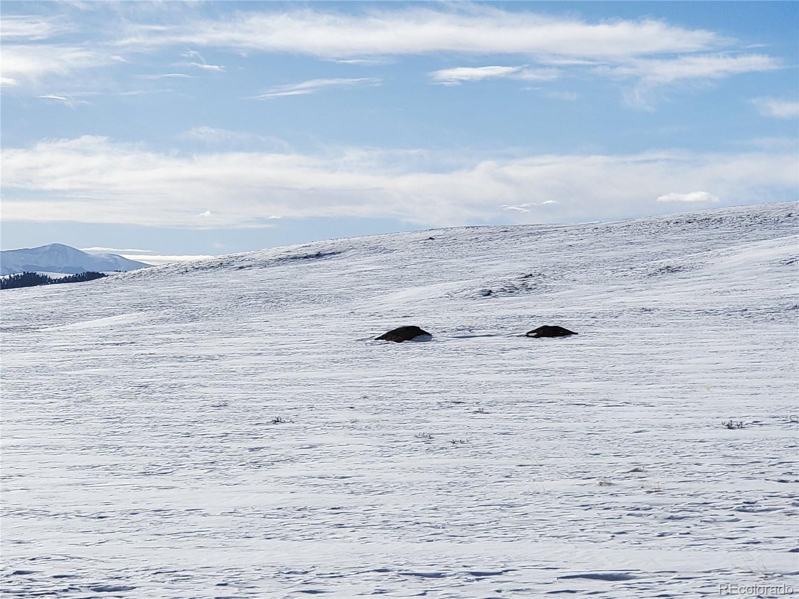 401 Link Road Como, CO 80432 - Photo 11 of 12 a view of beach and ocean