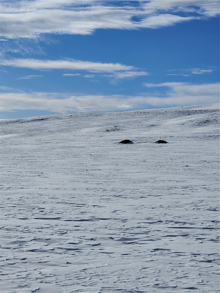 401 Link Road Como, CO 80432 - Photo 5 of 12