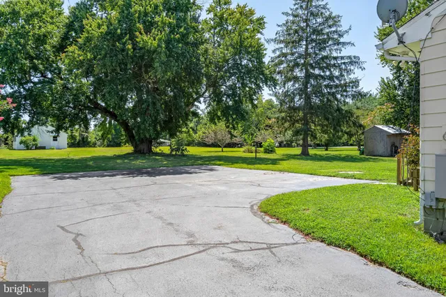 a view of a park with large trees