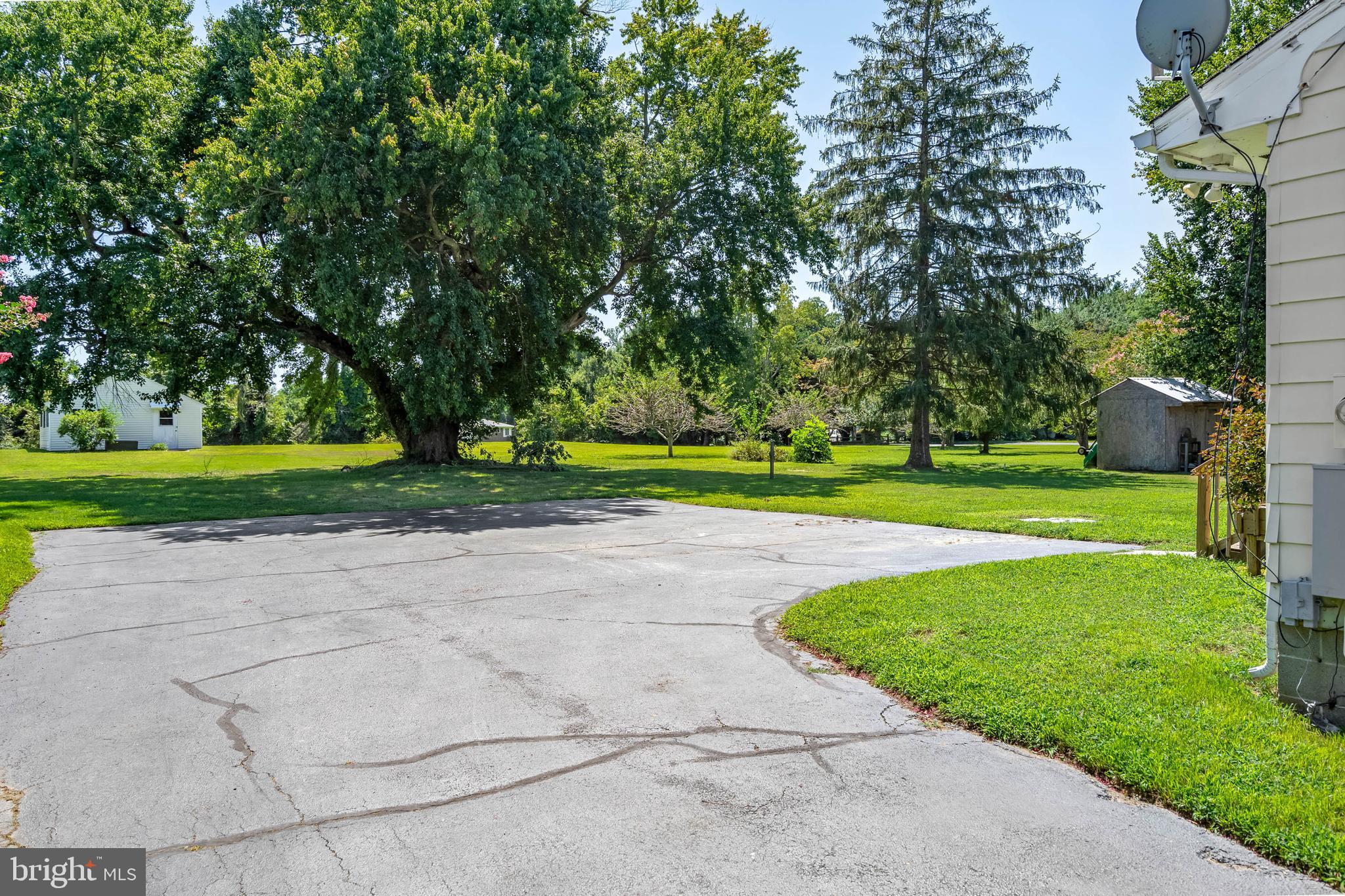 34132 Clay Road Lewes, DE 19958 - Photo 31 of 32 a view of a park with large trees