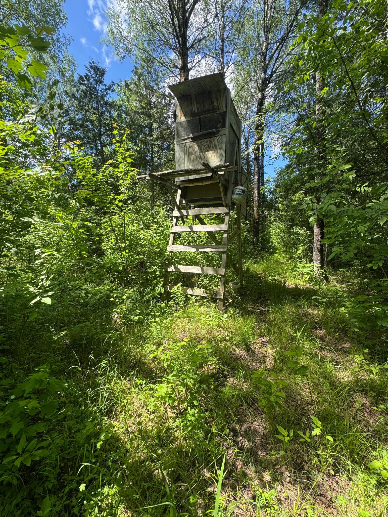 Tbd242.25 Lavell Road Meadowlands, MN 55765 - Photo 46 of 58