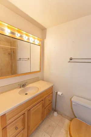 a bathroom with a sink and a toilet