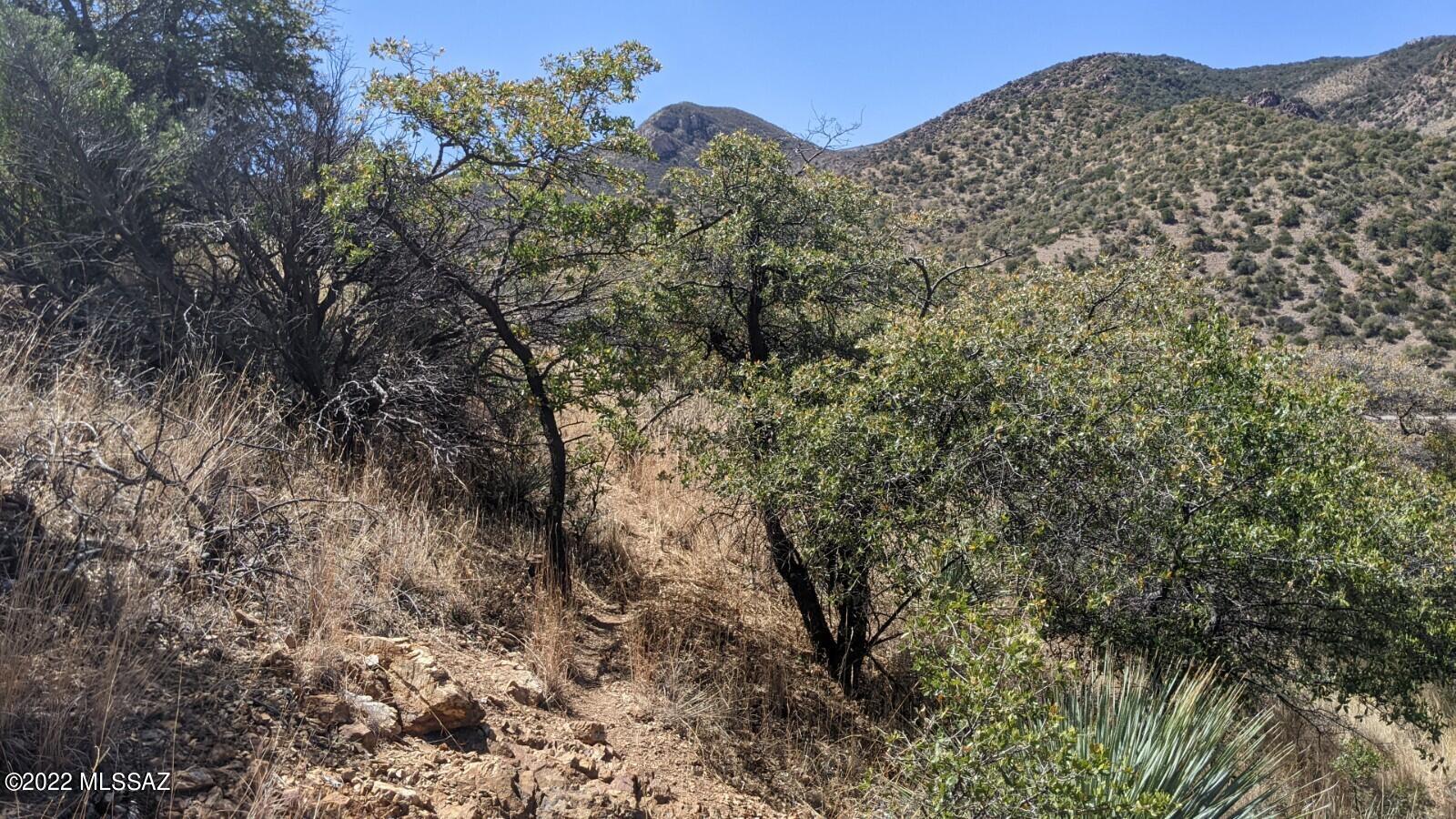 Tbd Adams Avenue, Unit MULTIPL Bisbee, AZ 85603 - Photo 19 of 35