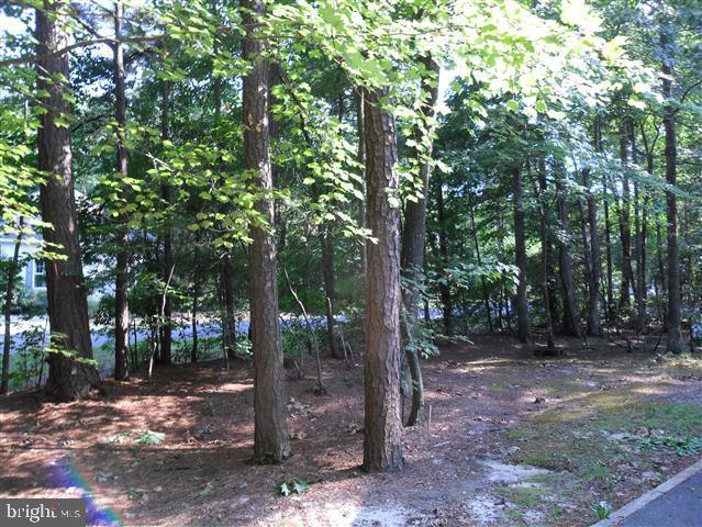 24 Moonraker Road Ocean Pines, MD 21811 - Photo 6 of 23
